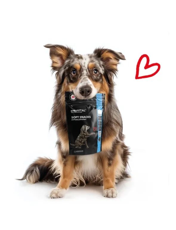 entoVITAL Soft Snack Hypoallergen Insekten 100g