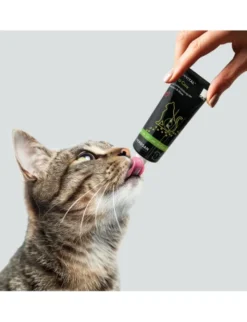 entoVITAL Uro Care 70g