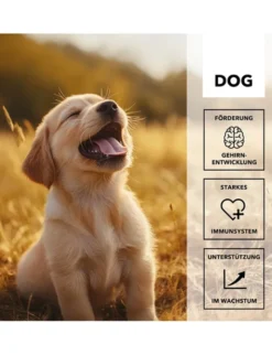 entoVITAL Vitamine Schleckpaste Puppy 100g