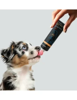 entoVITAL Vitamine Schleckpaste Puppy 100g