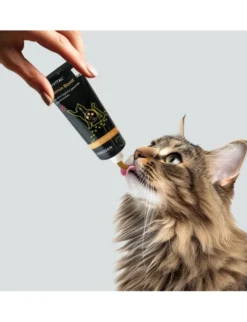entoVITAL Vitamine Schleckpaste 70g