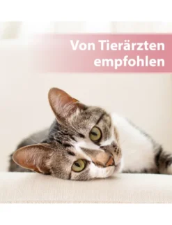 Felisept Augenpflege Pads für Katzen
