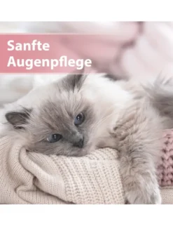Felisept Augenpflege Pads für Katzen