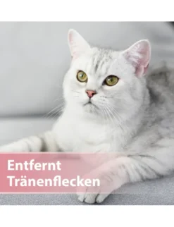 Felisept Augenpflege Pads für Katzen