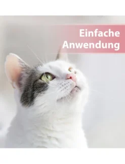 Felisept Augenpflege Pads für Katzen