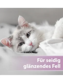 Felisept Fellpflegespray für Katzen 250ml
