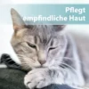 Felisept Hautpflege Spray für Katzen 250ml