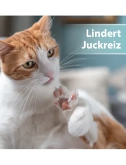 Felisept Hautpflege Spray für Katzen 250ml
