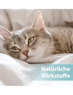 Felisept Hautpflege Spray für Katzen 250ml