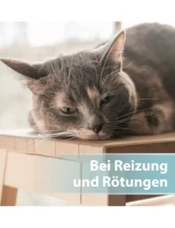 Felisept Hautpflege Spray für Katzen 250ml