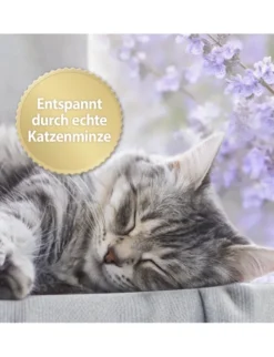 Felisept Home Comfort Beruhigungshalsband