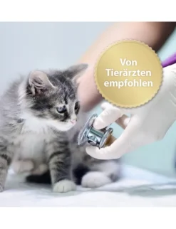 Felisept Home Comfort Set Diffusor + Flakon für Katzen
