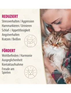 Felisept Home Comfort Set Diffusor + Flakon für Katzen