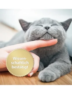 Felisept Home Comfort Spray für Katzen 100ml
