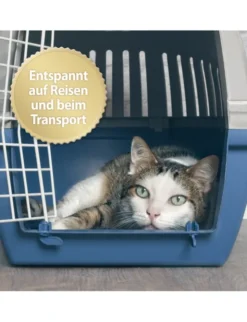 Felisept Home Comfort Spray für Katzen 100ml