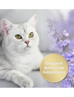 Felisept Home Comfort Spray für Katzen 100ml