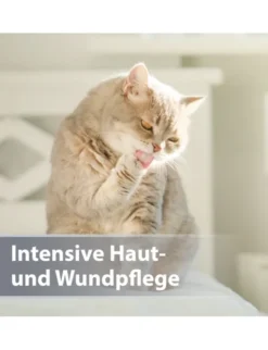 Felisept Mikro Silberspray für Katzen 75ml