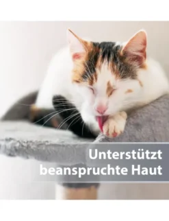 Felisept Mikro Silberspray für Katzen 75ml