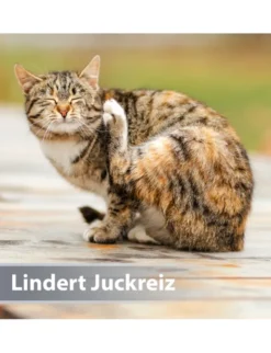 Felisept Mikro Silberspray für Katzen 75ml