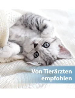 Felisept Ohrpflege Finger-Pads für Katzen