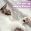 Felisept Pfotenpflege für Katzen 75ml