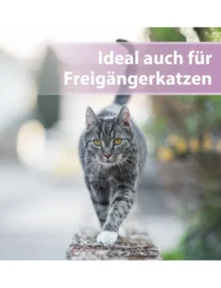 Felisept Pfotenpflege für Katzen 75ml