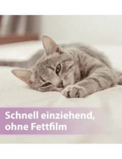 Felisept Pfotenpflege für Katzen 75ml