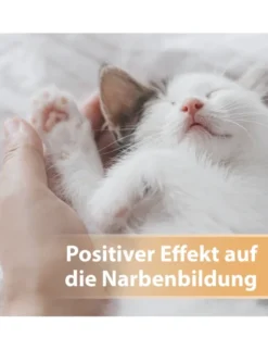 Felisept Wundgel für Katzen 20ml