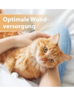 Felisept Wundgel für Katzen 20ml