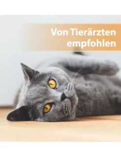 Felisept Wundgel für Katzen 20ml