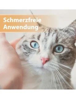 Felisept Wundgel für Katzen 20ml