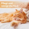 Felisept Wundspray für Katzen 75ml