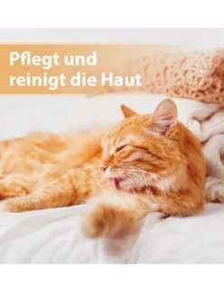 Felisept Wundspray für Katzen 75ml