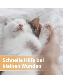 Felisept Wundspray für Katzen 75ml