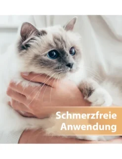 Felisept Wundspray für Katzen 75ml