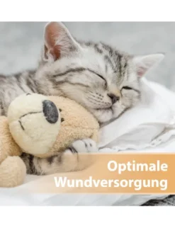 Felisept Wundspray für Katzen 75ml