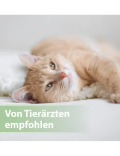 Felisept Zahnpflege Finger-Pads für Katzen