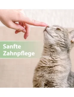 Felisept Zahnpflege Finger-Pads für Katzen