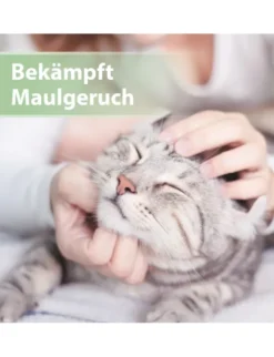 Felisept Zahnpflege Finger-Pads für Katzen
