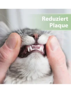 Felisept Zahnpflege Finger-Pads für Katzen