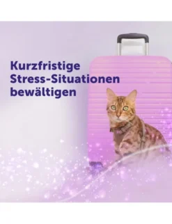 FELIWAY Help! Nachfüllset