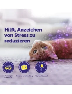 FELIWAY Help! Nachfüllset