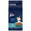FELIX Doppelt Lecker Lachs, Hochseefisch 2kg
