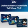 FELIX Junior So gut wie es aussieht Gemischte Vielfalt 1kg