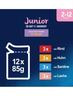 FELIX Junior So gut wie es aussieht Gemischte Vielfalt 1kg