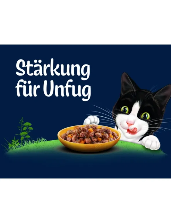 FELIX Naturally Delicious Geschmacksvielfalt von der Wiese 800g