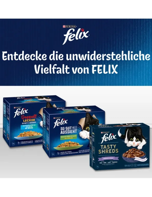 FELIX Sensations Saucen Geschmacksvielfalt vom Land 1kg