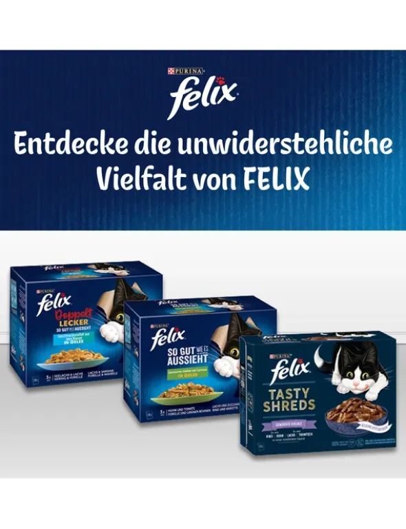 FELIX So gut wie es aussieht Gemischte Vielfalt 3,7kg