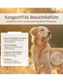 fungoVITAL BauchGefühl Umami, Pilz 100g