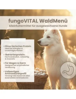 fungoVITAL WaldMenü Umami, Pilz 2kg